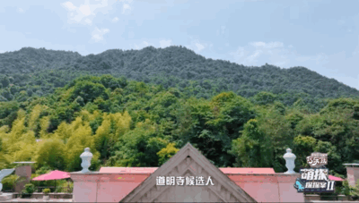 hz/C城堡庄园/爱丽芬021